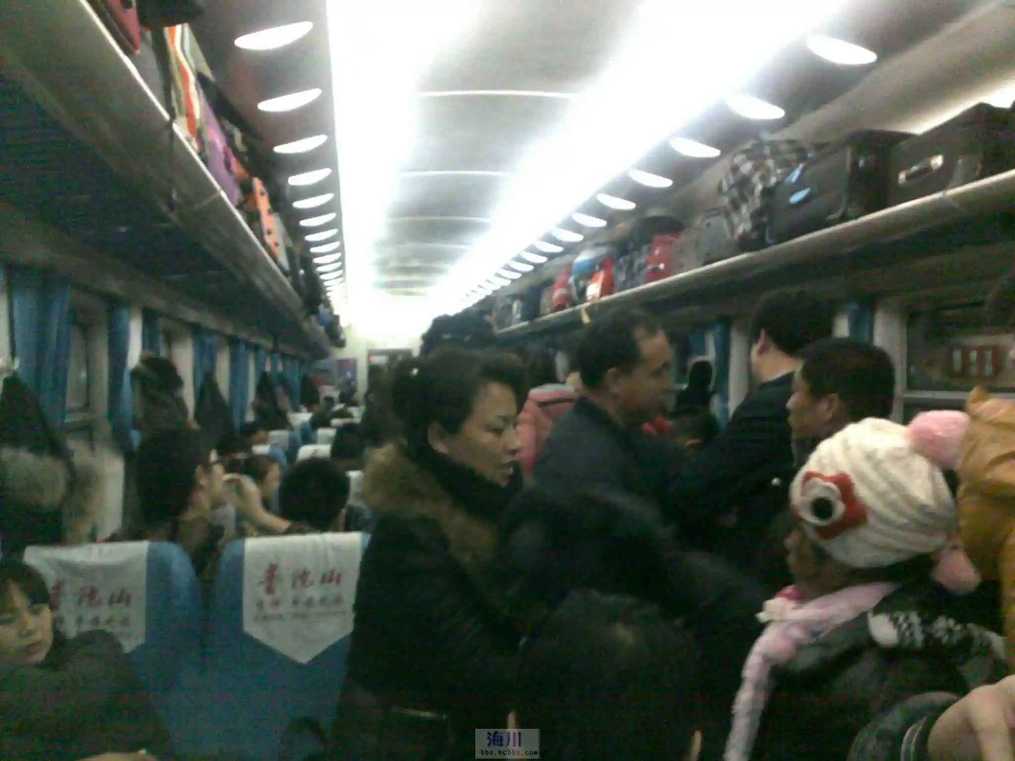 20130216491.webp