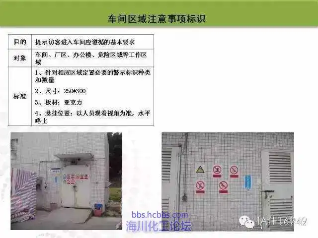 19.webp