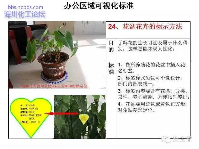 640 (23).webp