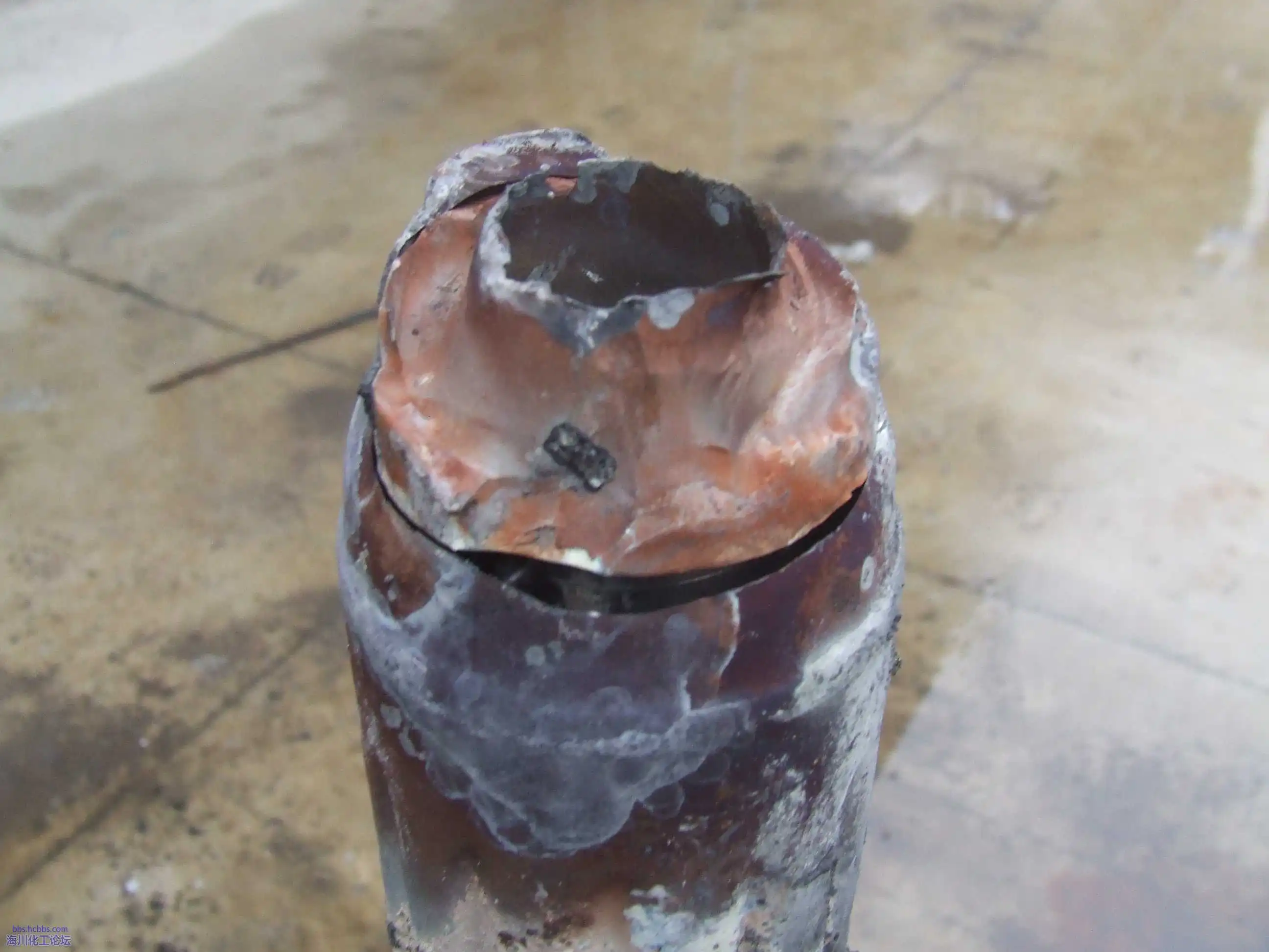 DSCF7904.webp