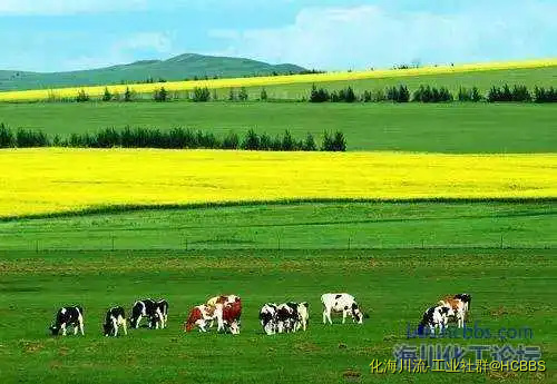 121748psdslftddf4kkglt.webp