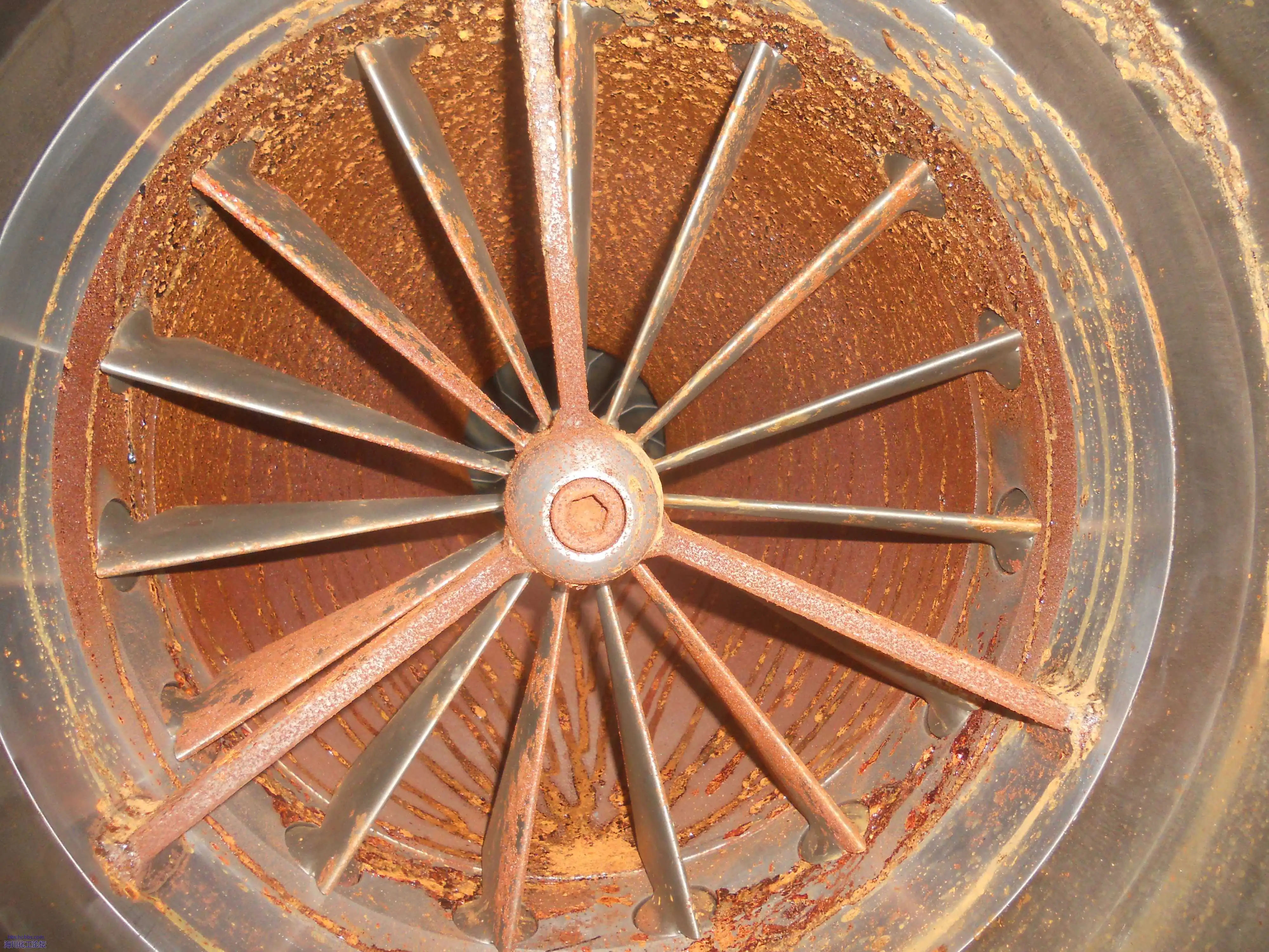 DSCN1455.webp