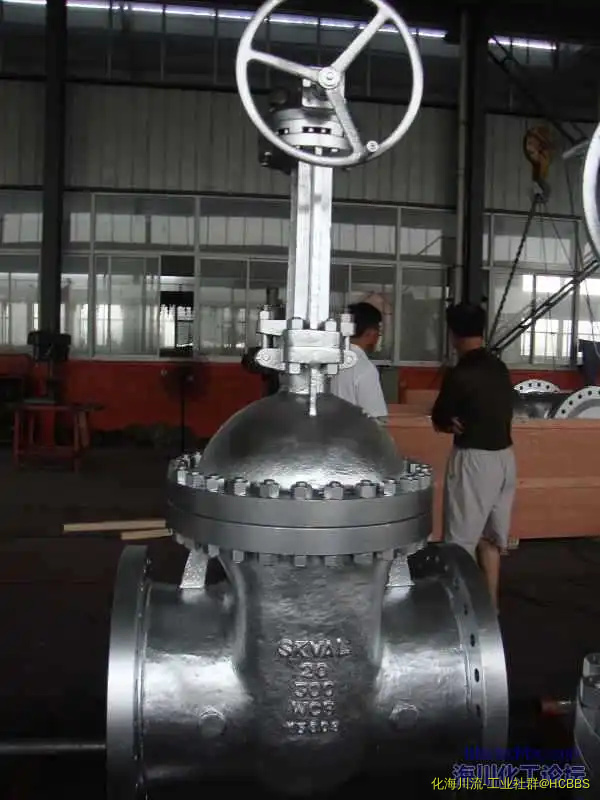 DSC01804.webp