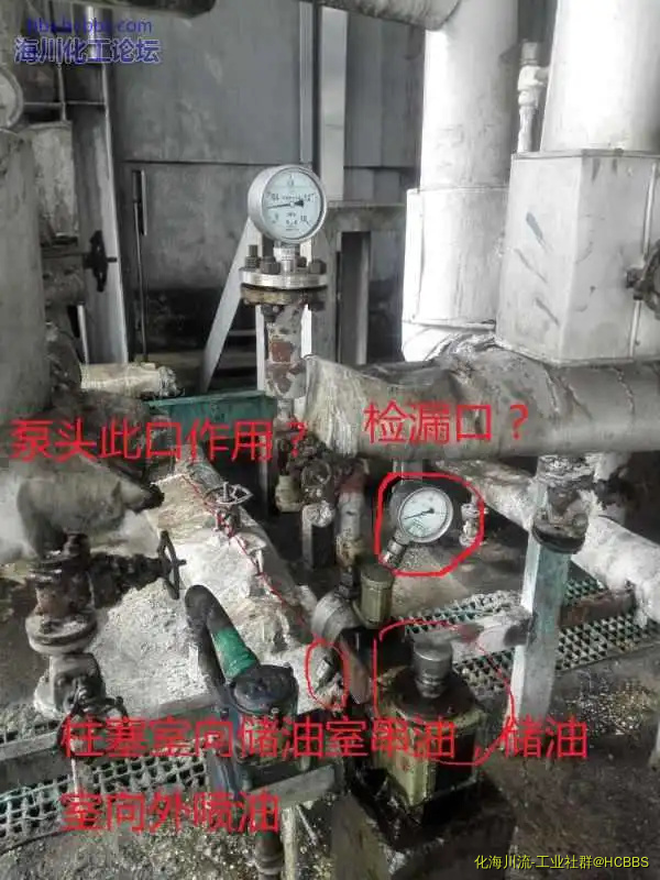 146701901346808602.webp