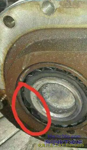 161741lnxlauvo1hzgawhv.webp