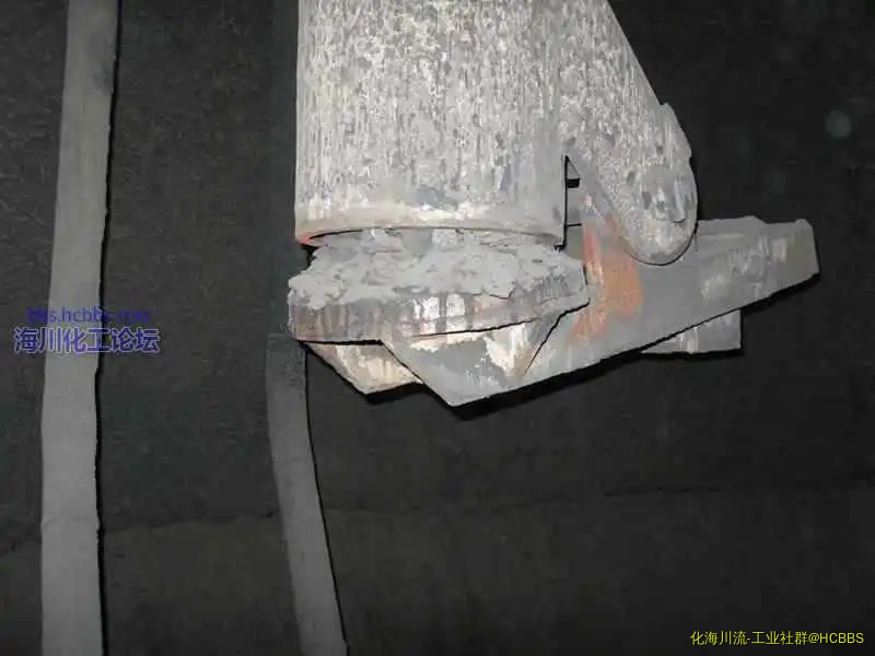 SDC11364.webp
