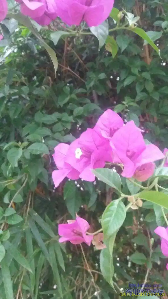 220329ogr3lavsvmpt4sdm.webp