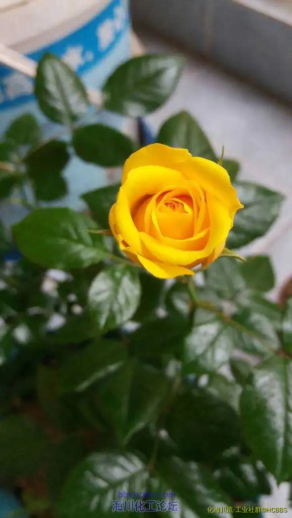 074709uo2rbob7r6h57727.webp