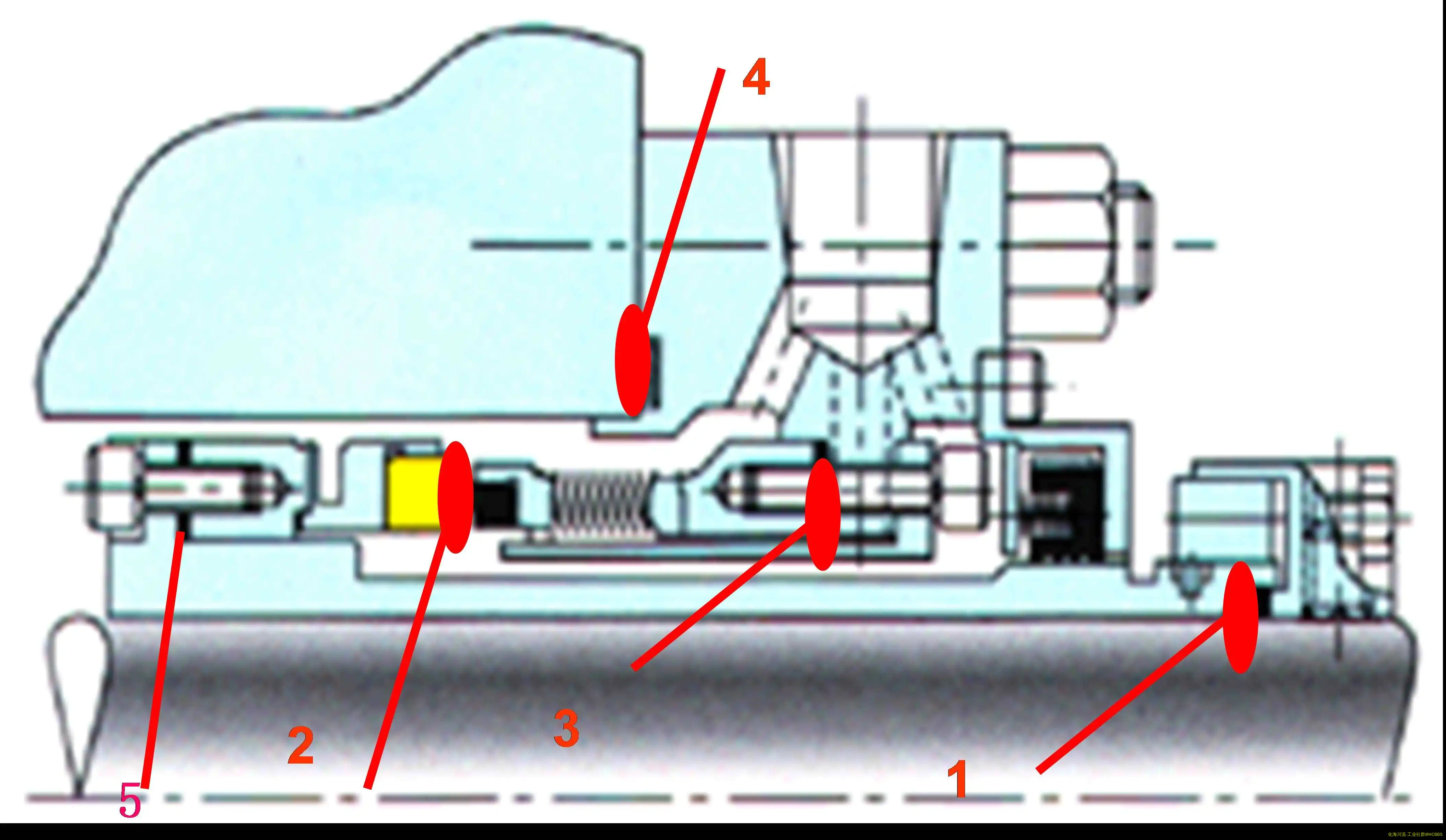 51.webp