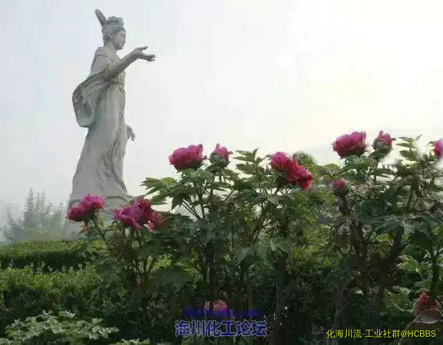 175732mg458z4zt4qth29n.webp