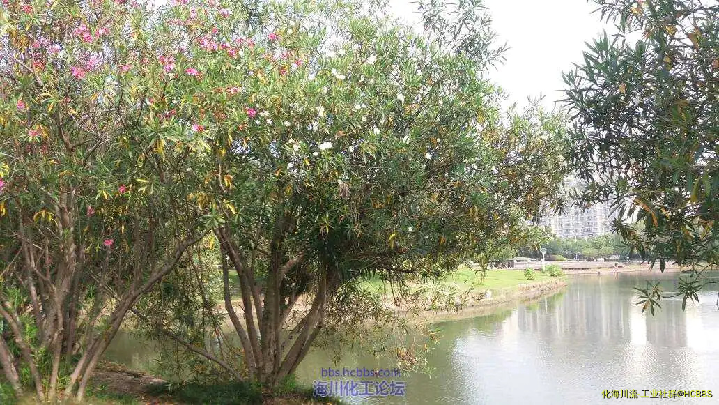 084641easkauubyuskoaos.webp