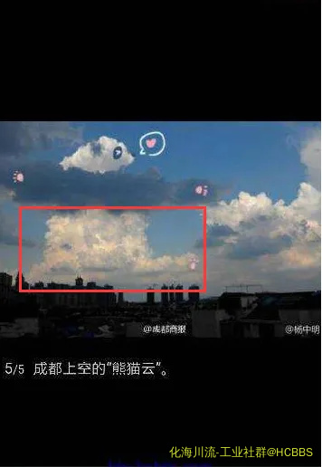 海豚.webp