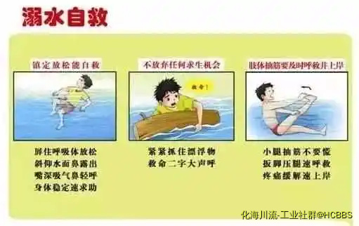 6.webp