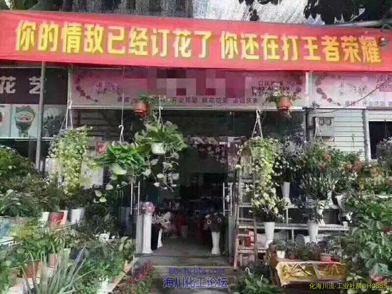 183424n8dynj1l4qdlrslc.webp