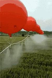 112901bg6vmv2livlv3ts1.gif