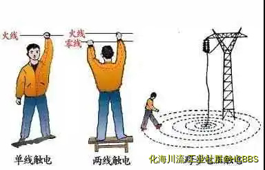 4.webp