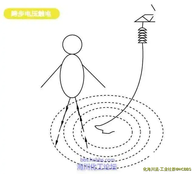 9.webp