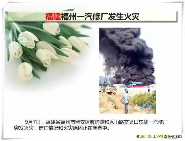 20.webp