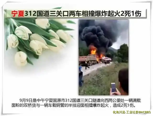 26.webp