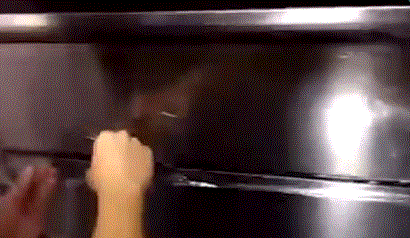 0 (6).gif