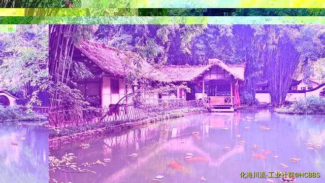 180346ci73w3va6vnx3gin.webp