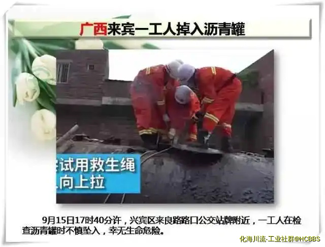 11.webp