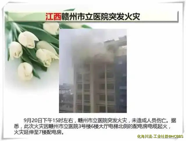 12.webp