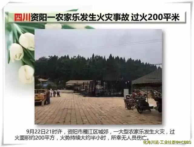 16.webp