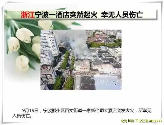 17.webp