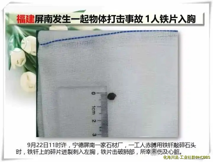 5.webp