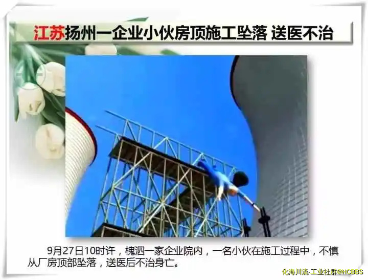 10.webp