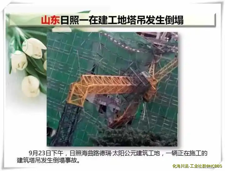 11.webp