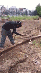 87602e1b6c1916d78edcbc63ff561595.gif
