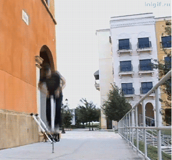 1.gif