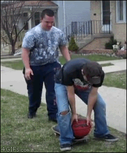 1.gif