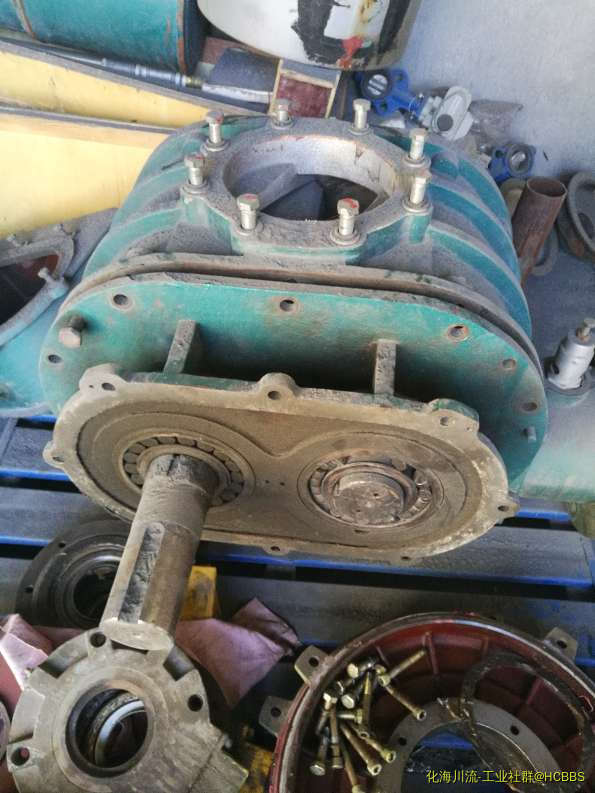 001952j1turlej9kutxjrk.jpg