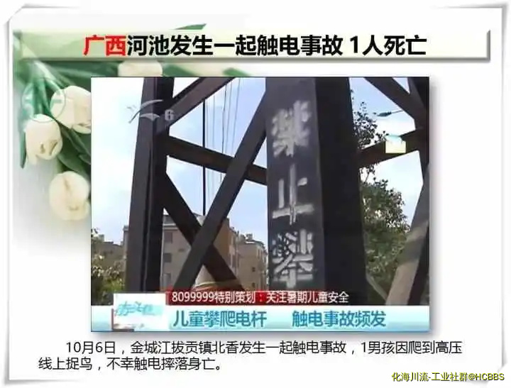 11.webp