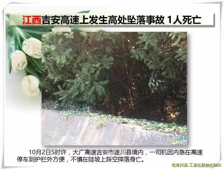 20.webp