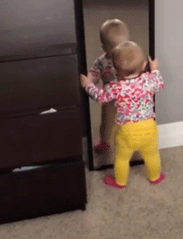0HlG6e0j49.gif