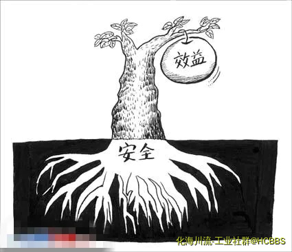 安全与效益.webp
