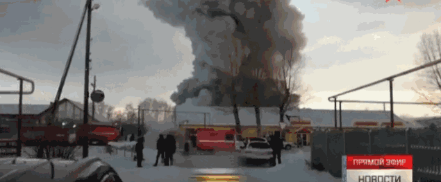 1.gif