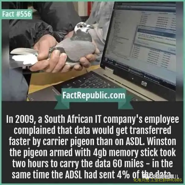 014508xkq82bikkm787k2k.webp