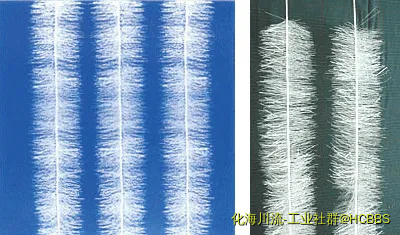 u=171203909,963348689&amp;fm=27&amp;gp=0.webp