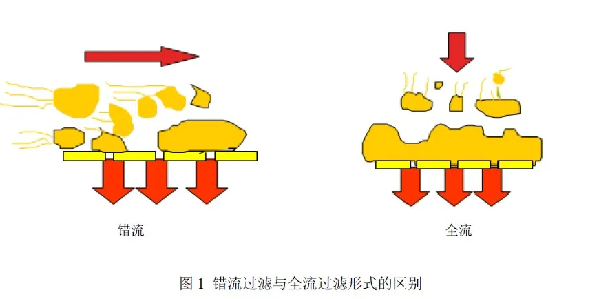 0105 超滤错流与全流的对比.webp