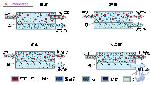 膜过程.webp