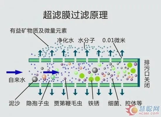 timg (1).webp