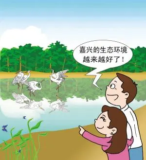 timg (3).webp