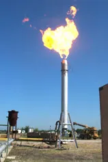 Flare_Rental.webp