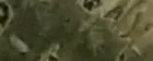 webwxgetmsgimg.webp