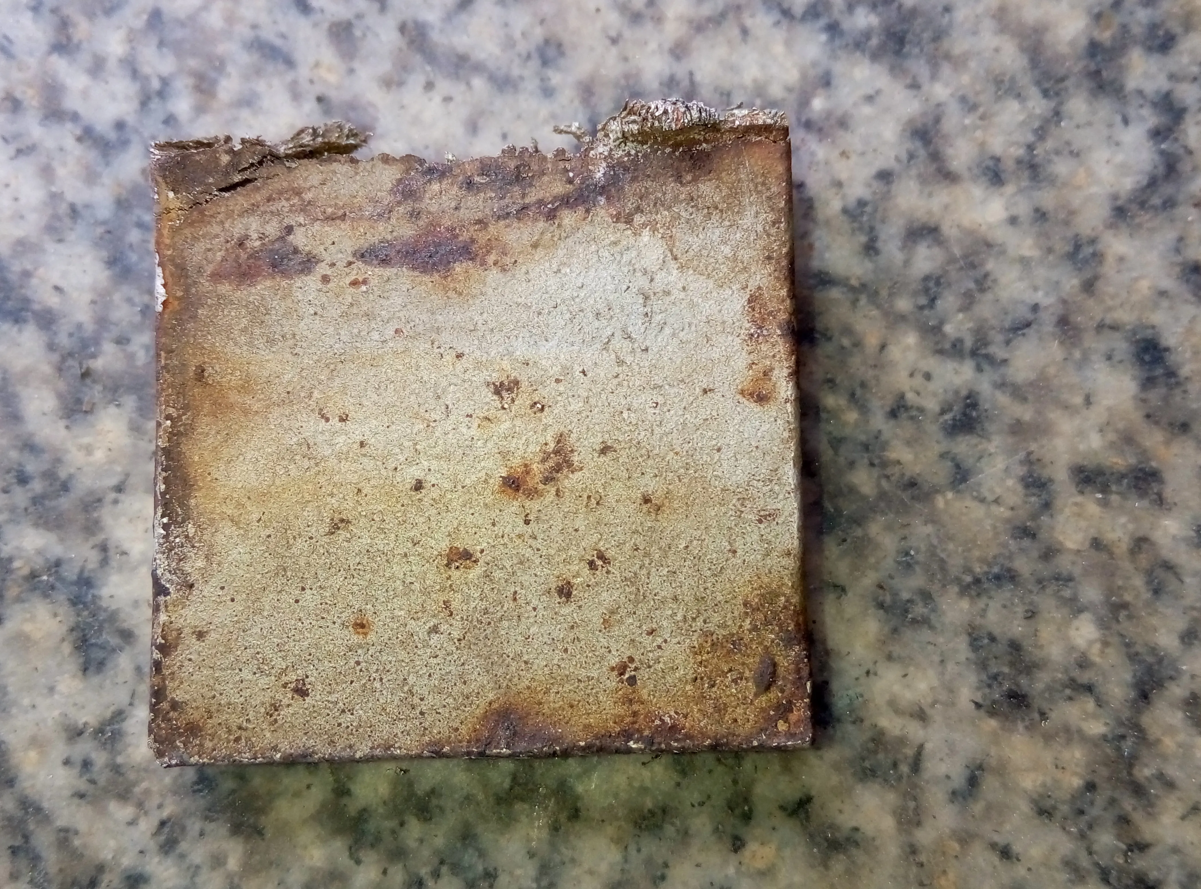 P80409-154731.webp